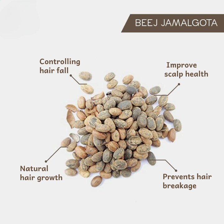 Jamalgota Ayurvedic Hair Growth Powder 100gm Each Pack 2